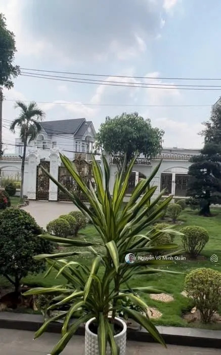 Cho thuê biệt thự sân vườn 1700m2. Mặt tiền đường nhựa 12m bề ngang 28m. Full nội thất. HĐ dài hạn